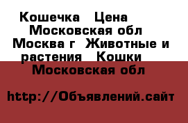 Кошечка › Цена ­ 10 - Московская обл., Москва г. Животные и растения » Кошки   . Московская обл.